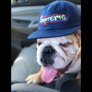 Meet your Posher, Alberto